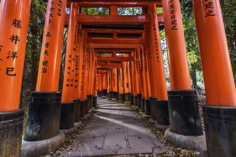 Blick durch rote Torii-Tore, Kyoto, Japan., lizenzfreies Stockfoto