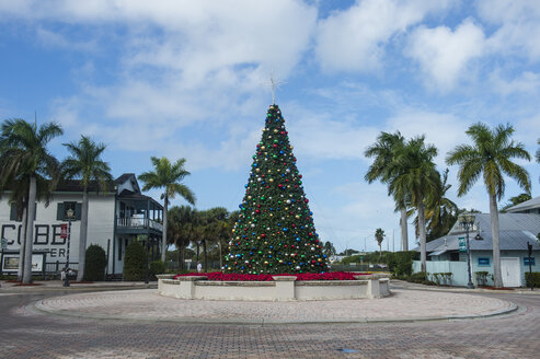 USA, Florida, Key West, Weihnachtsbaum - RUNF01006