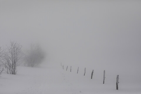 Frankreich, Elsass, Naturschutzgebiet Frankenthal-Missheimle, schneebedeckte Landschaft bei Nebel, lizenzfreies Stockfoto