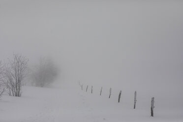 Frankreich, Elsass, Naturschutzgebiet Frankenthal-Missheimle, schneebedeckte Landschaft bei Nebel - SGF02223