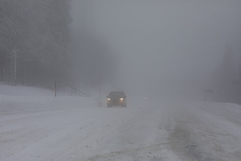 France, Alsace, Nature reserve Frankenthal-Missheimle, car driving on Route de Cretes by fog - SGF02225