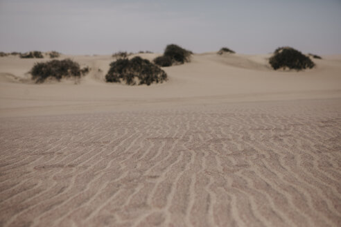 Namibia, Walvis Bay, Sand im Namib-Naukluft-Nationalpark - LHPF00427