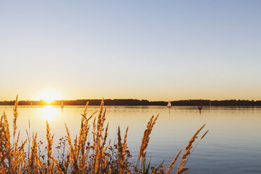 Deutschland, Sachsen, Leipzig, Cospudener See bei Sonnenuntergang - GWF05838