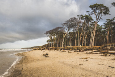 Germany, Mecklenburg-Western Pomerania, Darss, Ahrenshoop, West beach - KEBF01058