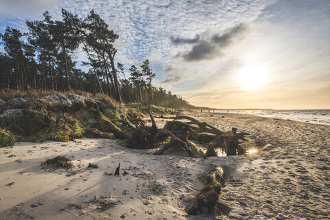 Germany, Mecklenburg-Western Pomerania, Darss, Ahrenshoop, West beach at sunset stock photo