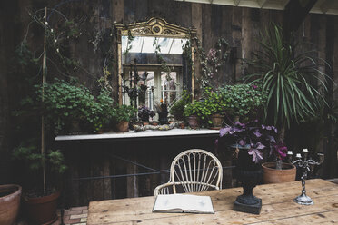 Garden room with wooden walls, rustic wooden table and antique mirror with ornate gilded frame, selection of indoor plants on shelf. - MINF10199