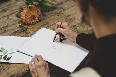 Nahaufnahme eines am Tisch sitzenden Künstlers, der an einer Bleistiftzeichnung einer orangefarbenen Dahlie arbeitet. - MINF10258