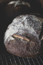 Nahaufnahme eines frisch gebackenen Brotlaibs aus hohem Winkel. - MINF10293