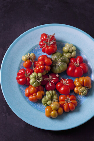 Kirschtomaten 'Voyage' auf hellblauem Teller, lizenzfreies Stockfoto