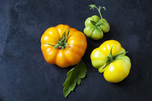 Drei Azoychka-Tomaten auf dunklem Grund - CSF29222