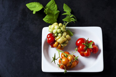 Kirschtomaten 'Voyage' in einer Schale auf dunklem Grund - CSF29259