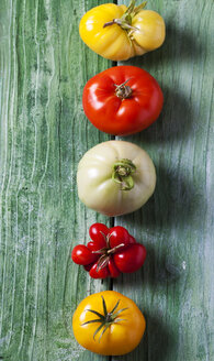 Reihe von fünf verschiedenen Tomaten auf grünem Holz - CSF29270