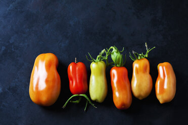 Reihe von sechs San Marzano-Tomaten auf dunklem Grund - CSF29285