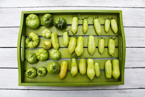 Holztablett mit verschiedenen Tomaten, Reifegrad, unreif, lizenzfreies Stockfoto