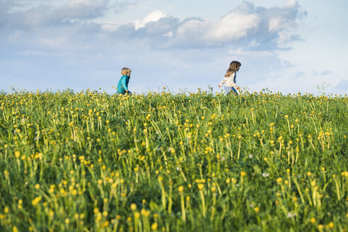 Zwei glückliche Kinder laufen über eine Wiese mit Löwenzahn - SBOF01683