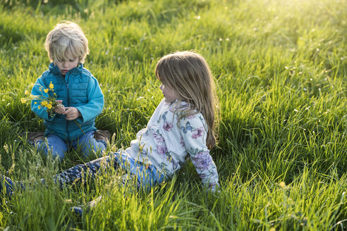 Zwei Kinder sitzen auf einer Wiese mit Löwenzahn und pflücken Blumen - SBOF01684