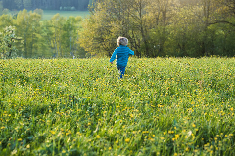 Junge läuft über eine Wiese mit Löwenzahn, lizenzfreies Stockfoto