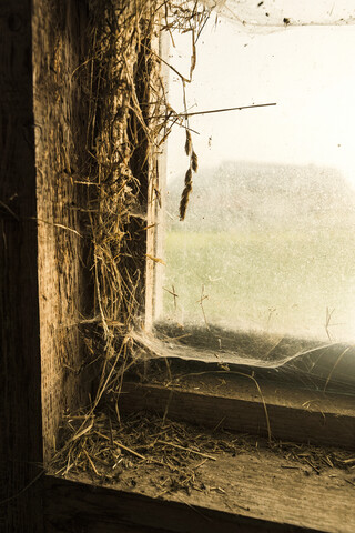 Nahaufnahme eines traditionellen Scheunenfensters mit Stroh, Spinnweben und Licht, das durch das Fenster fällt, lizenzfreies Stockfoto