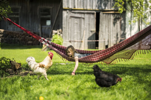 Girl relaxing in hammock in garden of a farm with chicken in foreground - SBOF01699