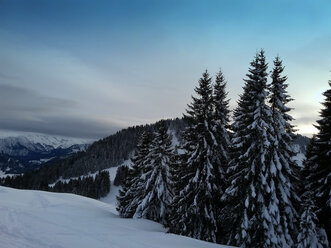 Deutschland, Bayern, Oberallgäu, Blick vom Ofterwschwanger Horn im Winter - ALEF00091