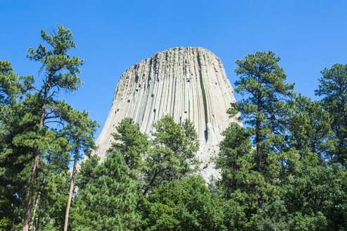 USA, Wyoming, Devils Tower National Monument - RUNF01046