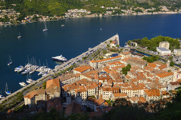 Montenegro, Bucht von Kotor, Kotor, Altstadt - SIEF08414