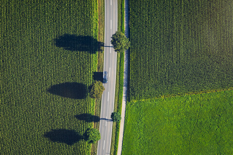Deutschland, Chiemgau, Landstraße und Feld im Sommer, lizenzfreies Stockfoto