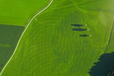 Germany, Chiemgau, Prien, field way and field in summer - MMAF00822