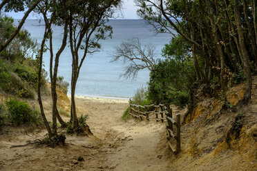 Italy, Tuscany, Castiglione della Pescaia, Punta Ala, way to the beach - LBF02340