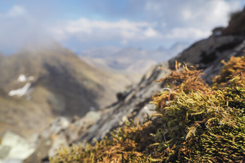 United Kingdom, Scotland, Isle of Skye, Moss in the Cuillin Hills stock photo