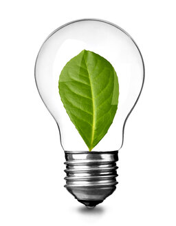 Nahaufnahme einer Glühbirne mit grünem Blatt auf weißem Hintergrund, Nachhaltigkeitskonzept - RAMF00079