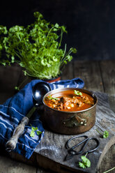 Goulash soup with flat leaf parsley - SBDF03891