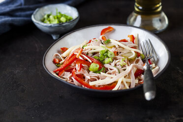 Sausage salad with cheese, red bell pepper, spring onions and gherkins - SBDF03897