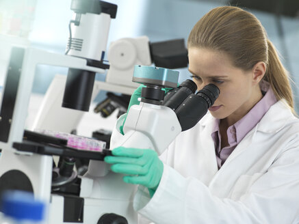 Cell Research, Scientist viewing cells in a multi well plate under the microscope in the laboratory - ABRF00293