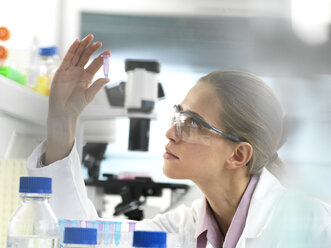 Scientist preparing a sample in a vial ready for analysis in the laborator - ABRF00307