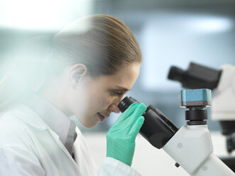 Scientist viewing a sample under a microscope in the laboratory - ABRF00308