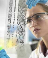 Scientist examining the results on a DNA autoradiogram in the laboratory - ABRF00314