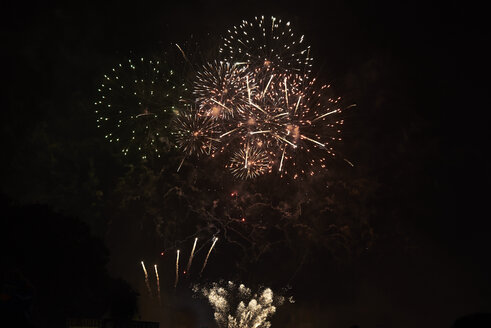 Feuerwerk am nächtlichen Himmel. - IGGF00755