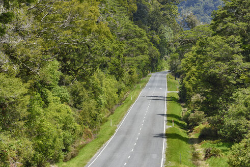 Haast Pass , Straße durch Regenwald, Südliche Alpen, Region Otago, Südinsel, Neuseeland - RUEF02079