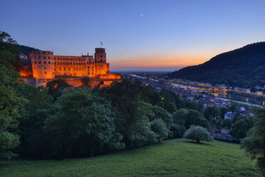 Heidelberg Castle with Neckar River and Old Bridge, Bade. Wurttemberg, Germany - RUEF02090