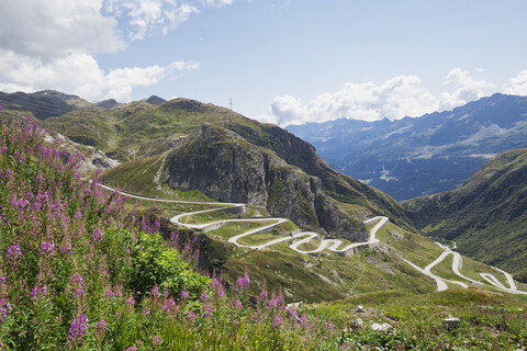 Schweiz, Tessin, Gotthardpass, Feuergras im Vordergrund, lizenzfreies Stockfoto