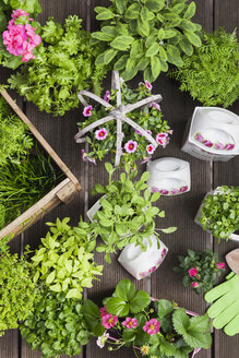 Einpflanzen von Kräutern und Blumen in alte Vorratstöpfe für den Indoor-Anbau - GWF05853