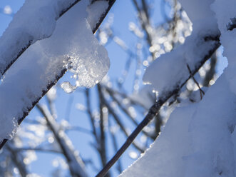 Schneebedeckte Äste und Zweige mit gefrorenen Wassertropfen, Nahaufnahme - HUSF00008