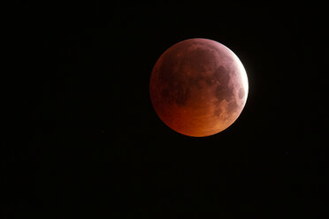 Germany, Frankfurt on Main, total lunar eclipse - THGF00076