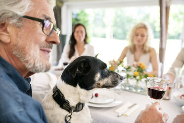 Älterer Mann mit Hund und Weinglas auf einer Familienfeier - PESF01273