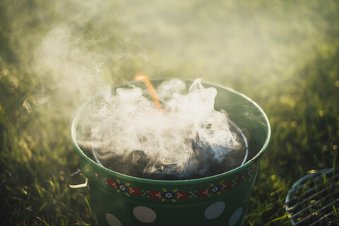 Smoking grill on a meadow stock photo
