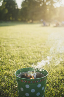 Grillen auf einer Wiese - JSCF00125