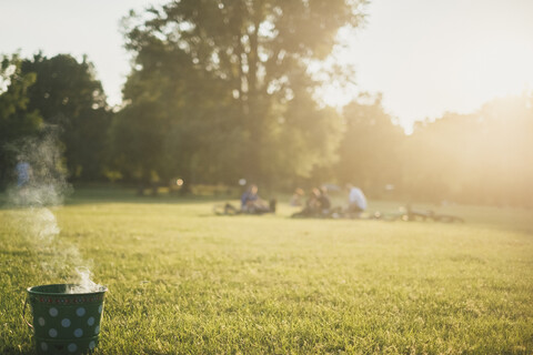 Barbecueing on a meadow stock photo