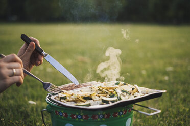 Frau isst gegrillte Würstchen und Gemüse auf einer Wiese, Teilansicht - JSCF00133