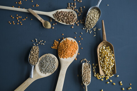 Red lentils, brown lentils, amarant, wheat, spelt wheat and corn on spoons stock photo